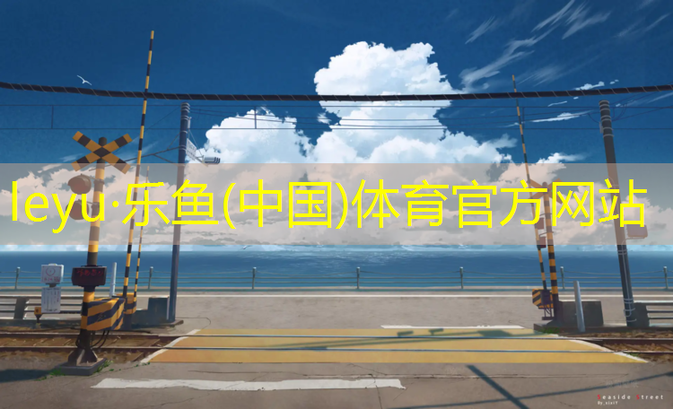 乐鱼体育,朝阳塑胶跑道造价