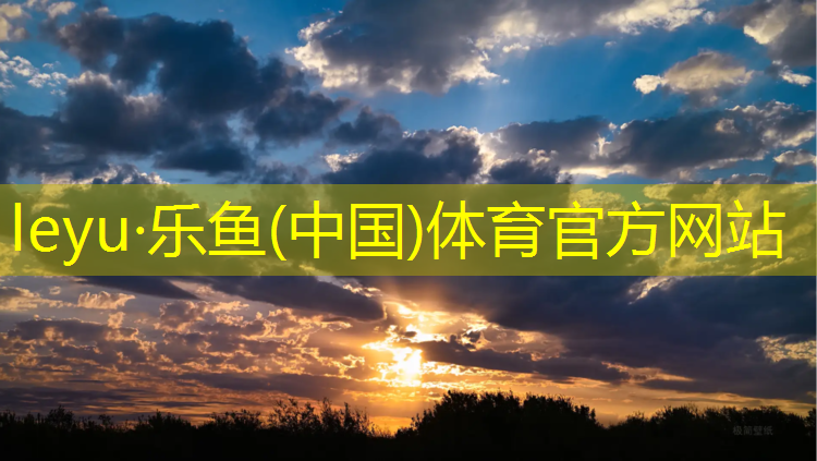 乐鱼体育,塑胶跑道材料业务助力工艺与技术创新！