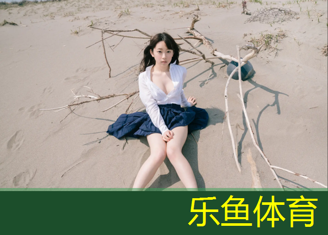 <strong>乐鱼体育,安顺预制型塑胶跑道价格</strong>