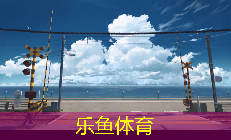 邵阳网球网价格查询网