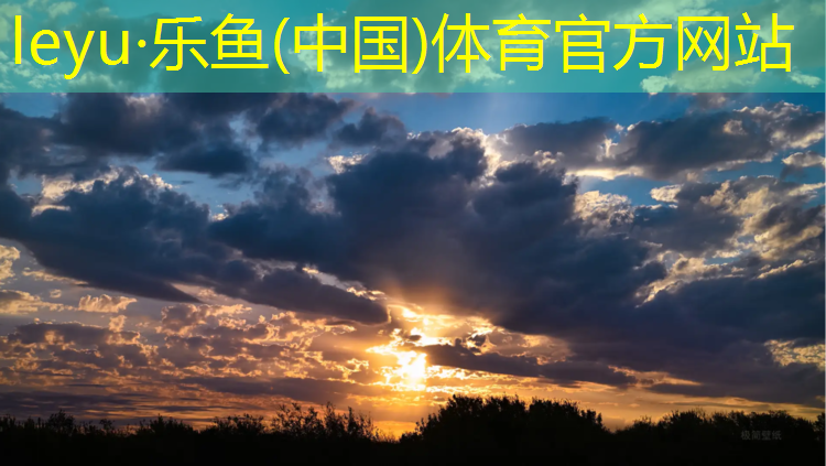 临海球场塑胶跑道价格